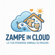 Zampe in Cloud